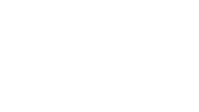 The Witness